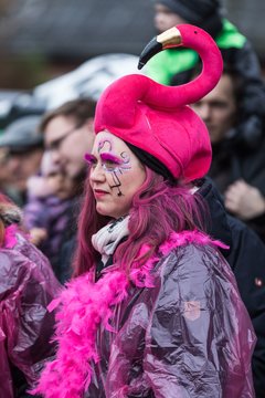 Bild 107 - Latuff Umzug